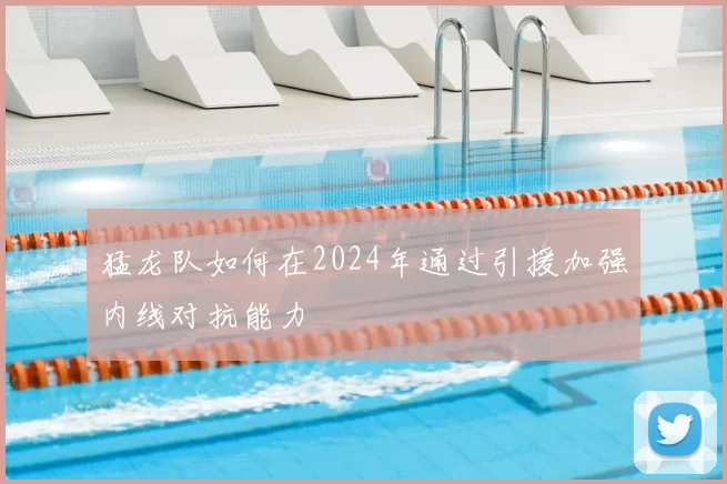 猛龙队如何在2024年通过引援加强内线对抗能力