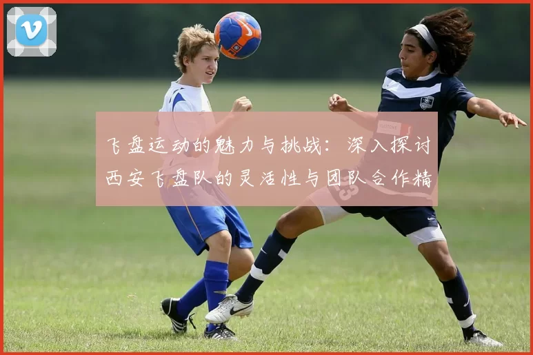 飞盘运动的魅力与挑战:深入探讨西安飞盘队的灵活性与团队合作精神