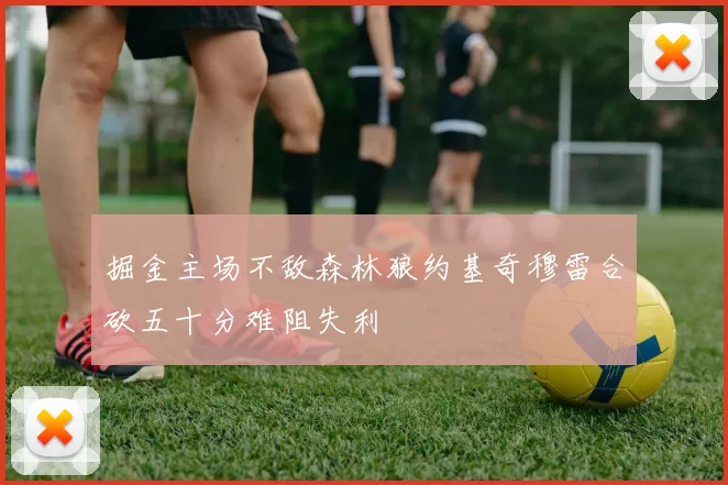 掘金主场不敌森林狼约基奇穆雷合砍五十分难阻失利