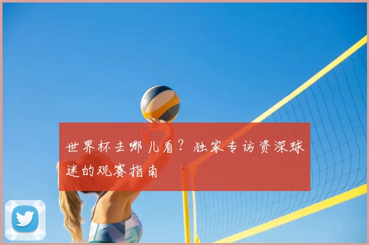 世界杯去哪儿看？独家专访资深球迷的观赛指南