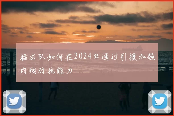 猛龙队如何在2024年通过引援加强内线对抗能力