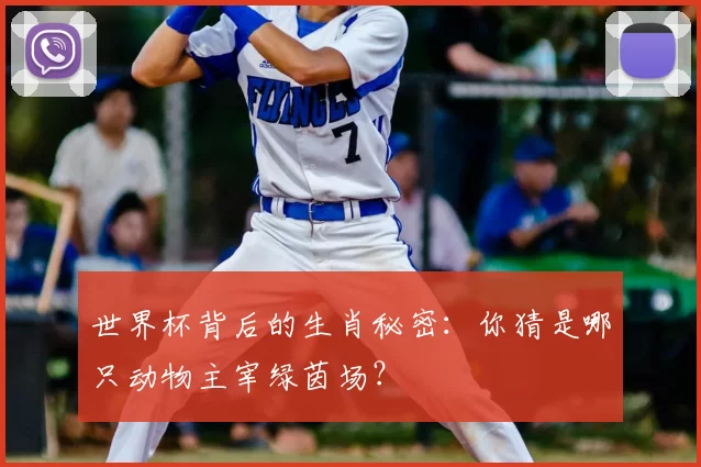 世界杯背后的生肖秘密:你猜是哪只动物主宰绿茵场?
