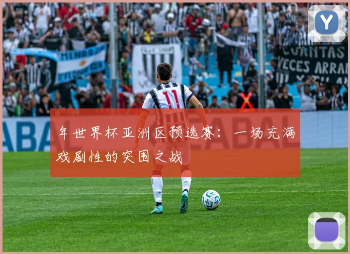 年世界杯亚洲区预选赛：一场充满戏剧性的突围之战
