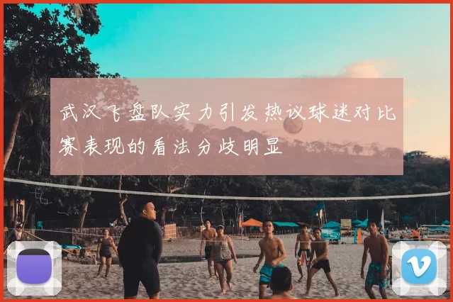 武汉飞盘队实力引发热议球迷对比赛表现的看法分歧明显