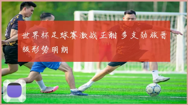 世界杯足球赛激战正酣 多支劲旅晋级形势明朗