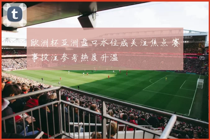 欧洲杯亚洲盘口水位成关注焦点 赛事投注参考热度升温