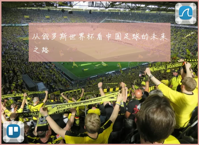 从俄罗斯世界杯看中国足球的未来之路