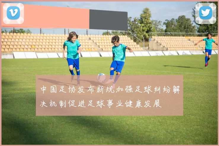 中国足协发布新规加强足球纠纷解决机制促进足球事业健康发展