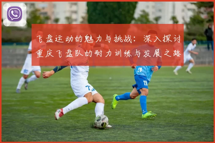 飞盘运动的魅力与挑战:深入探讨重庆飞盘队的耐力训练与发展之路