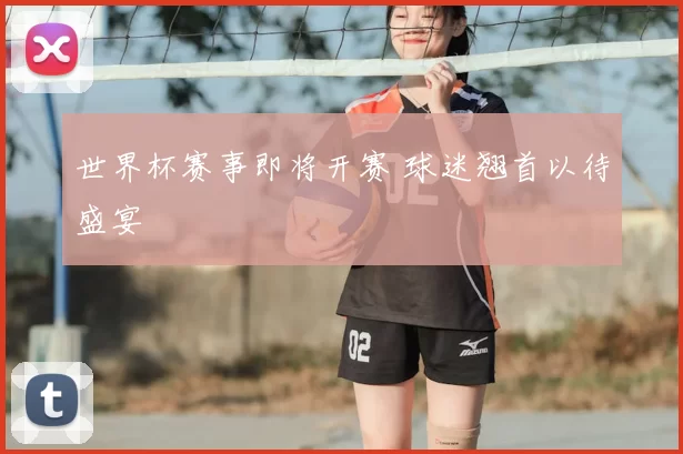 世界杯赛事即将开赛 球迷翘首以待盛宴