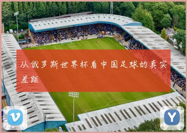 从俄罗斯世界杯看中国足球的真实差距