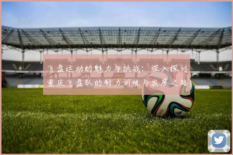 飞盘运动的魅力与挑战:深入探讨重庆飞盘队的耐力训练与发展之路