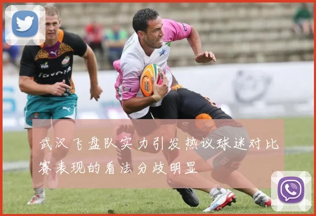 武汉飞盘队实力引发热议球迷对比赛表现的看法分歧明显