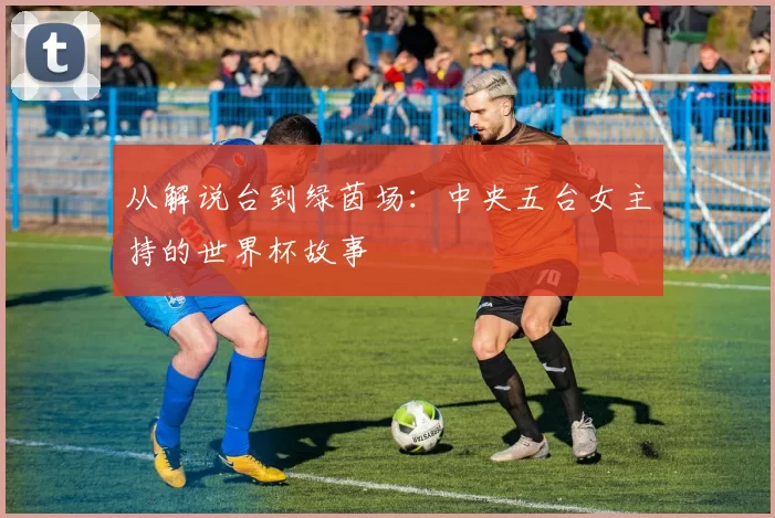 从解说台到绿茵场：中央五台女主持的世界杯故事