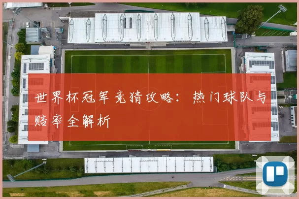 世界杯冠军竞猜攻略：热门球队与赔率全解析