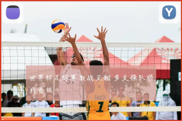 世界杯足球赛激战正酣 多支强队顺利晋级