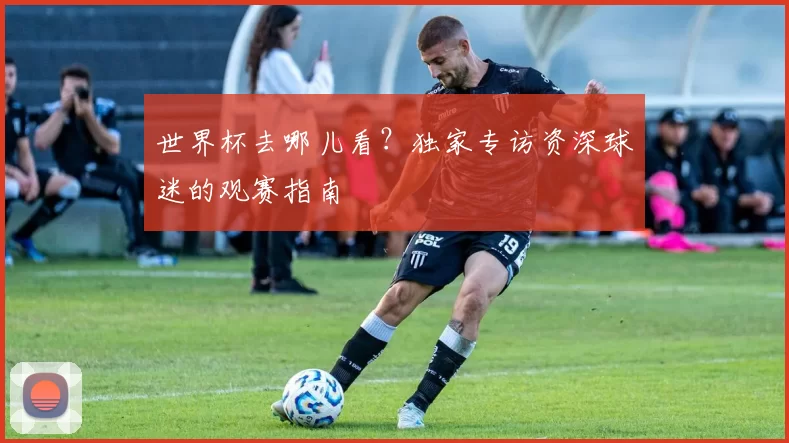 世界杯去哪儿看？独家专访资深球迷的观赛指南