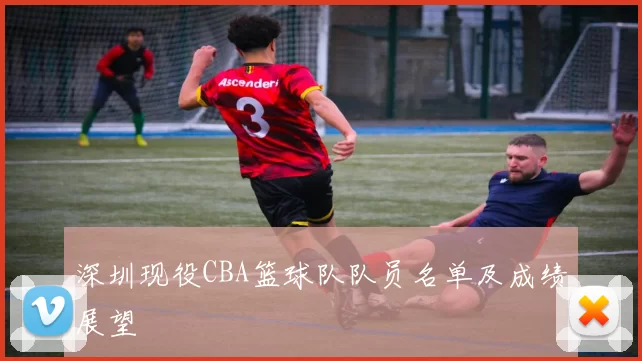 深圳现役CBA篮球队队员名单及成绩展望